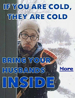 For all the feminist criticism of men supposedly treating women like dogs, it is actually today�s feminism-infected women that are treating men like domesticated animals.